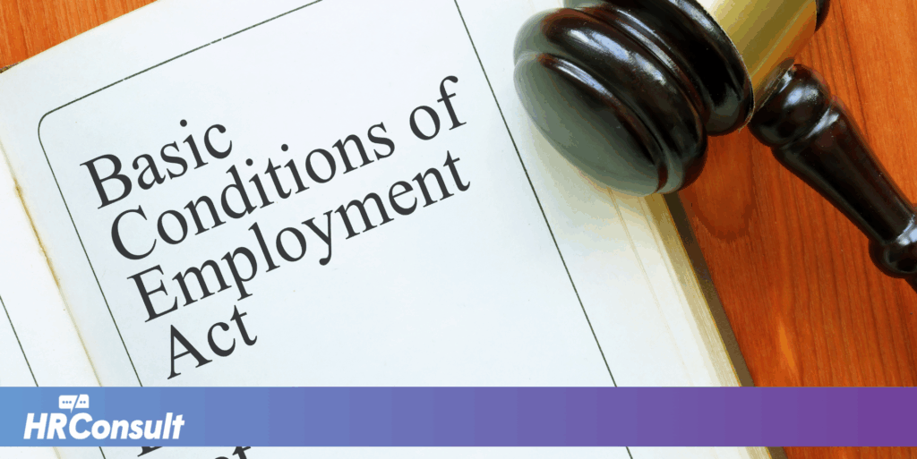 The Basic Conditions of Employment Act of South Africa